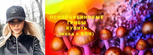 дживик Верея