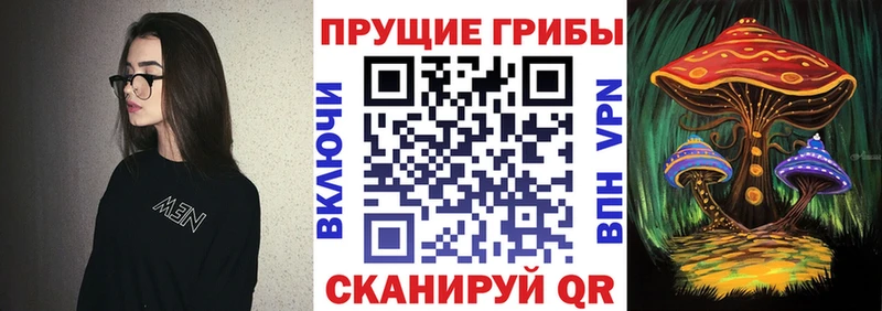 Купить  Кыштым  Галлюциногенные грибы Cubensis 
